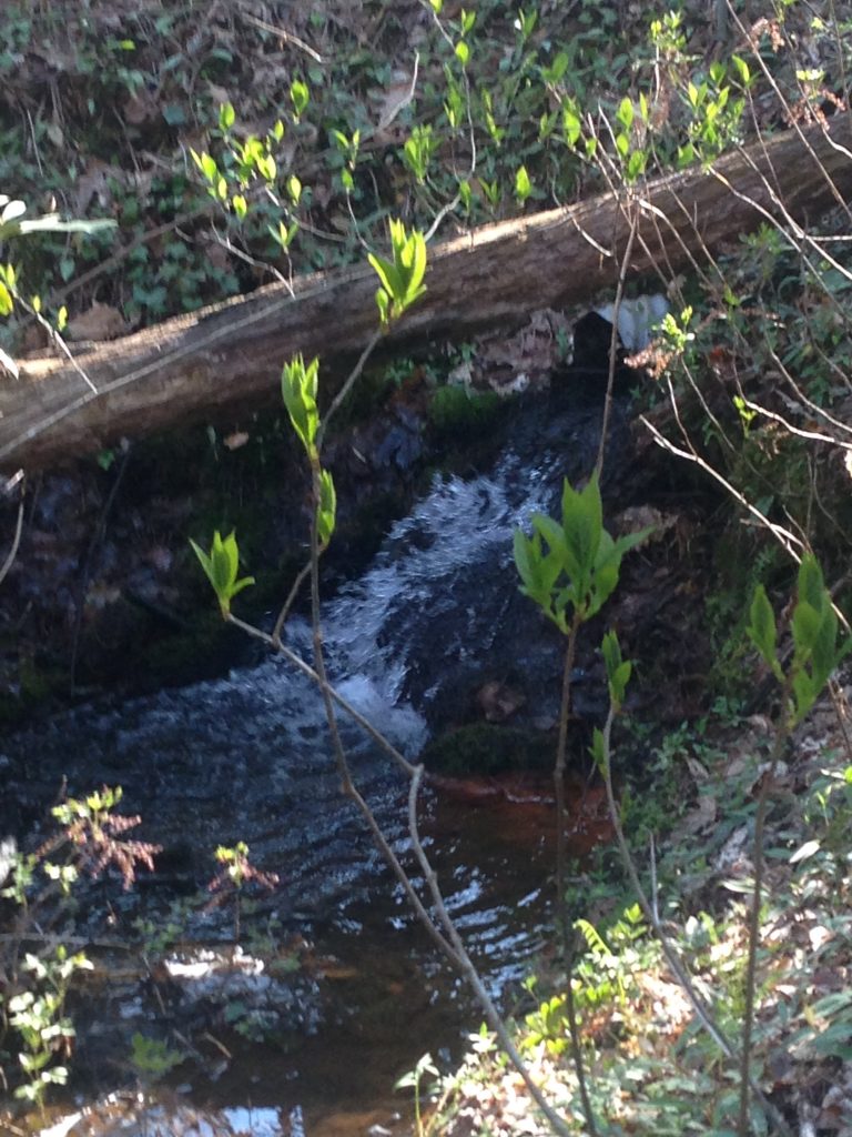 King Pond Dam