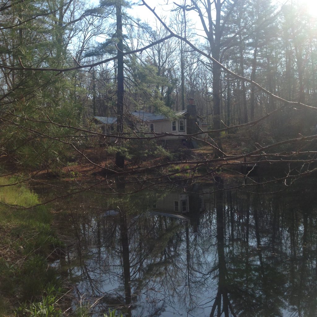 Early Spring East End of Pond